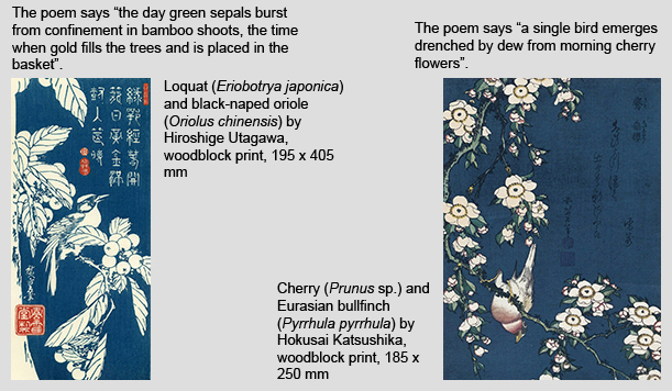 Ukiyoe Poetry